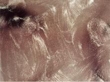 Instagram.com/Anishak 