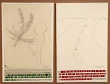 The Gratitude Project -  National Resources Defense Council