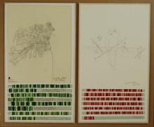 The Gratitude Project - United Farm Workers